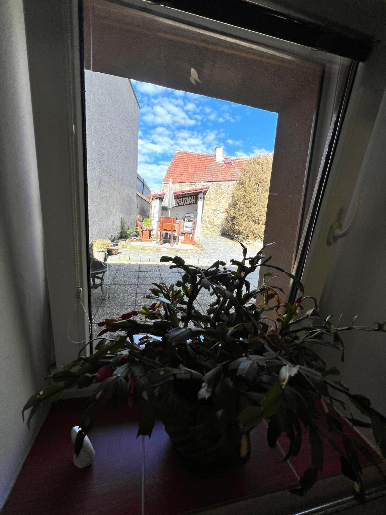 Penzion Na Růžku Selčan Exteriér fotografie